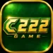 C222 Game